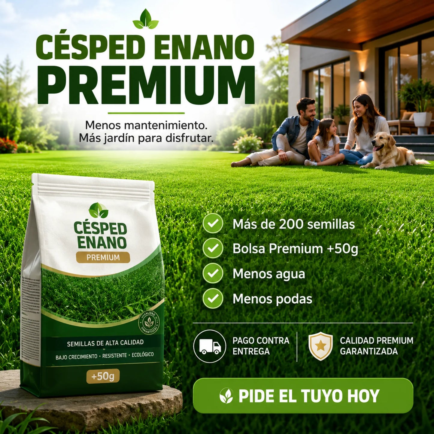 Césped Enano Premium® | Semillas de Alta Germinación +50g